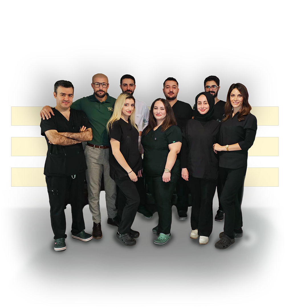 Ons team